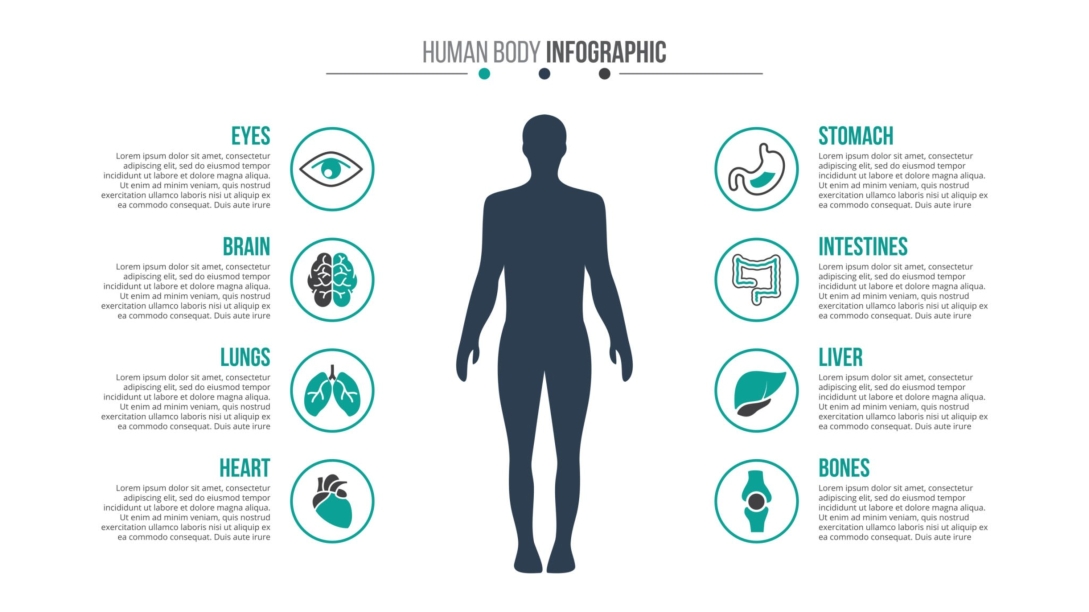 Review of Liv Pure: The Role in Supporting Healthy Gut Flora